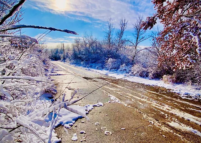 манастирчето-книжовник Jaktstuga